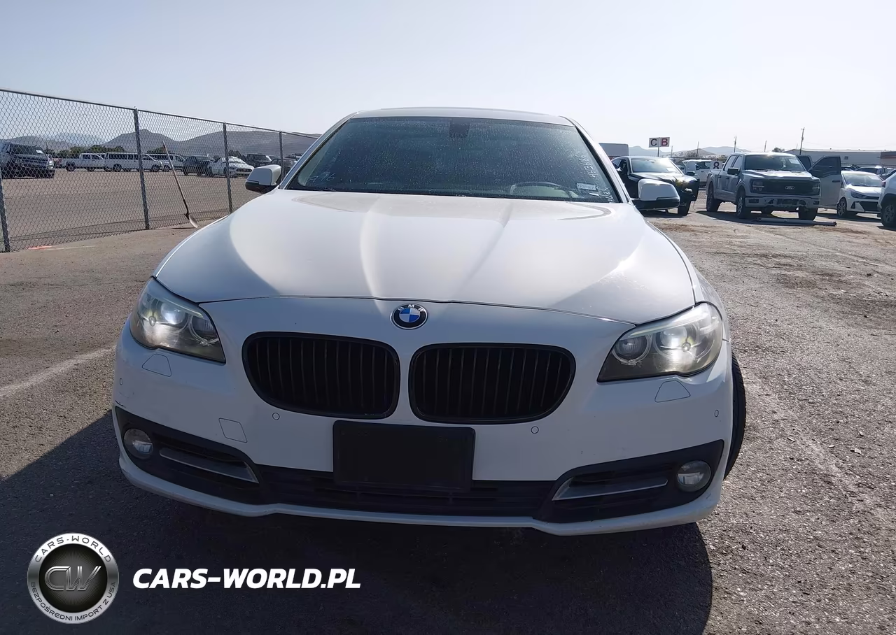 2016 BMW 528I VIN:WBA5A5C52GD529263 - 12
