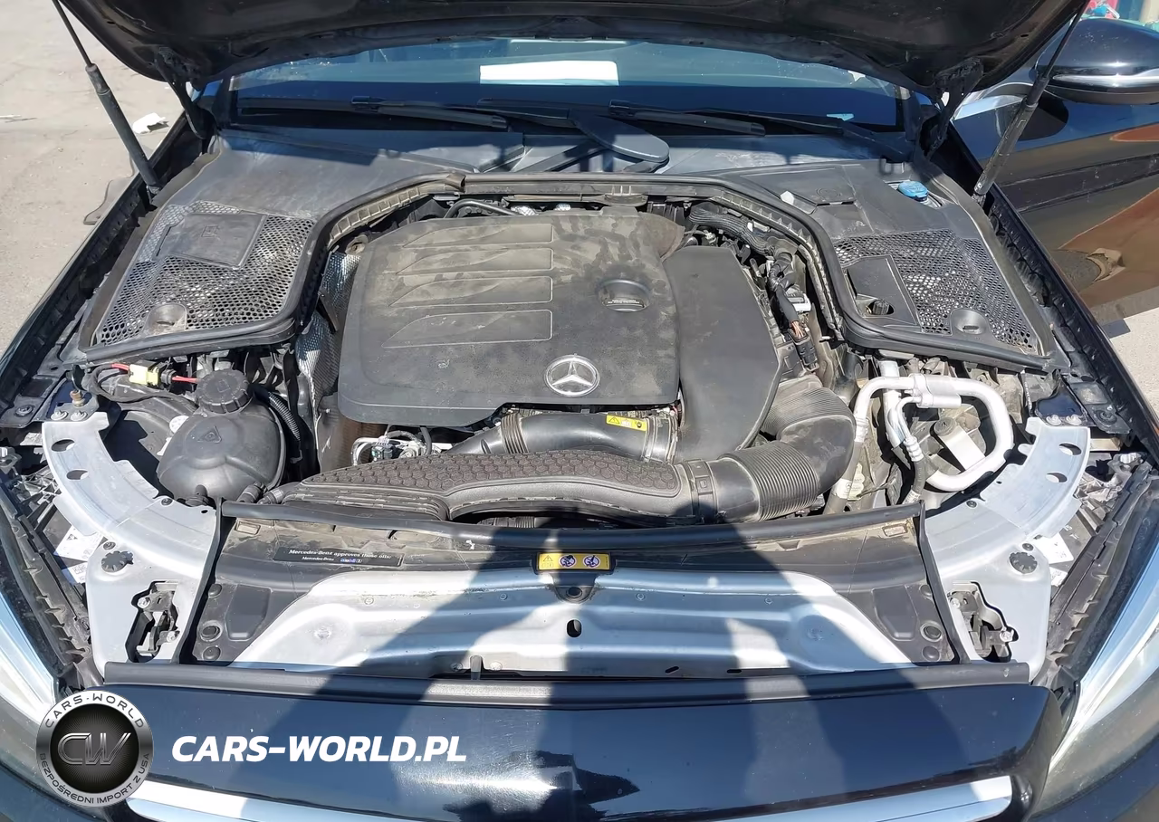 2019 Mercedes-Benz C 300 VIN:55SWF8DB6KU288841 - 10