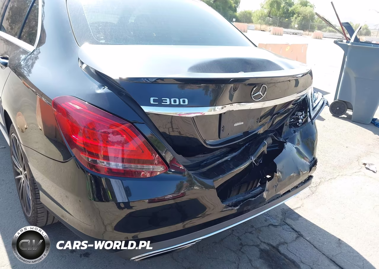 2019 Mercedes-Benz C 300 VIN:55SWF8DB6KU288841 - 17