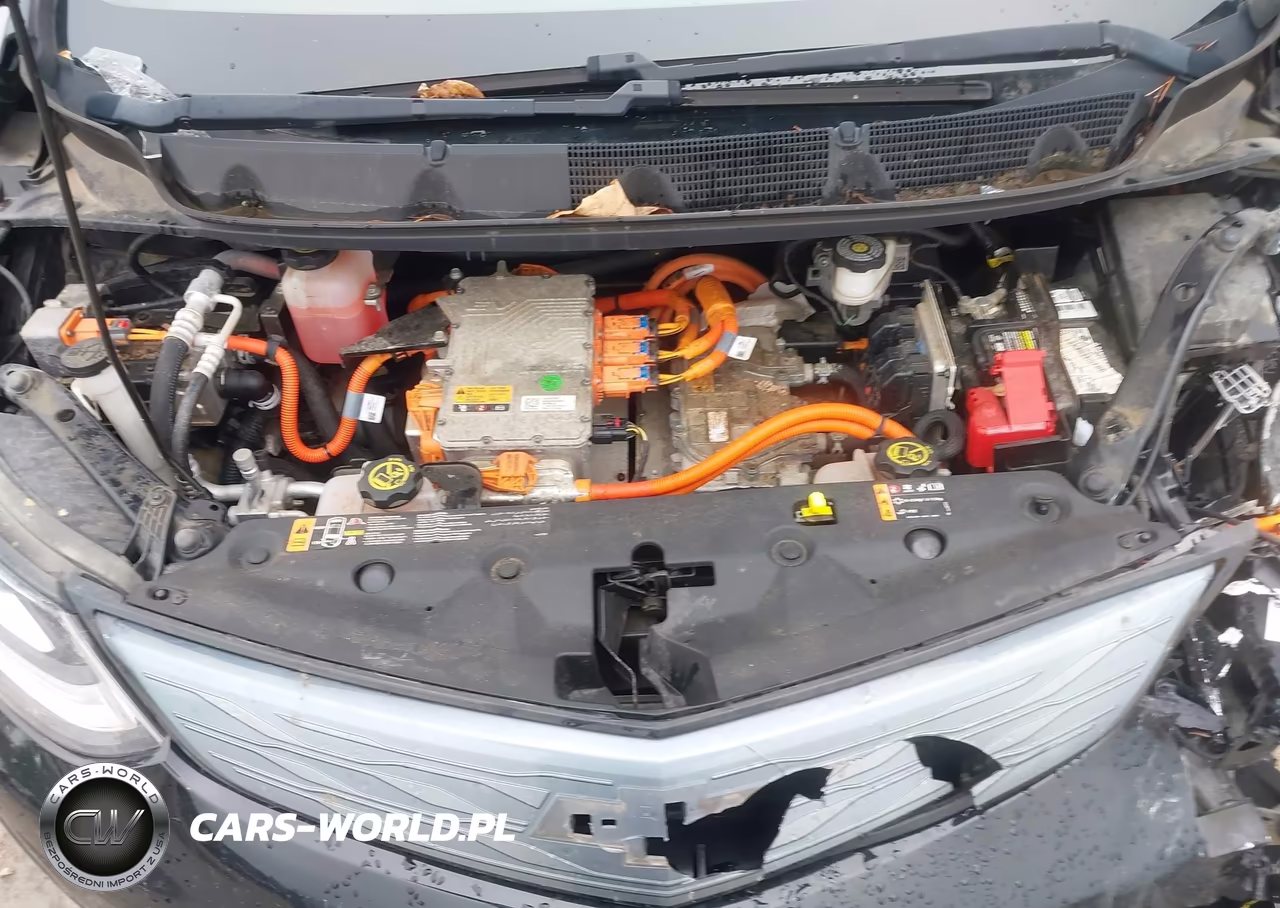 2018 Chevrolet Bolt Ev Lt VIN:1G1FW6S00J4133109 - 10