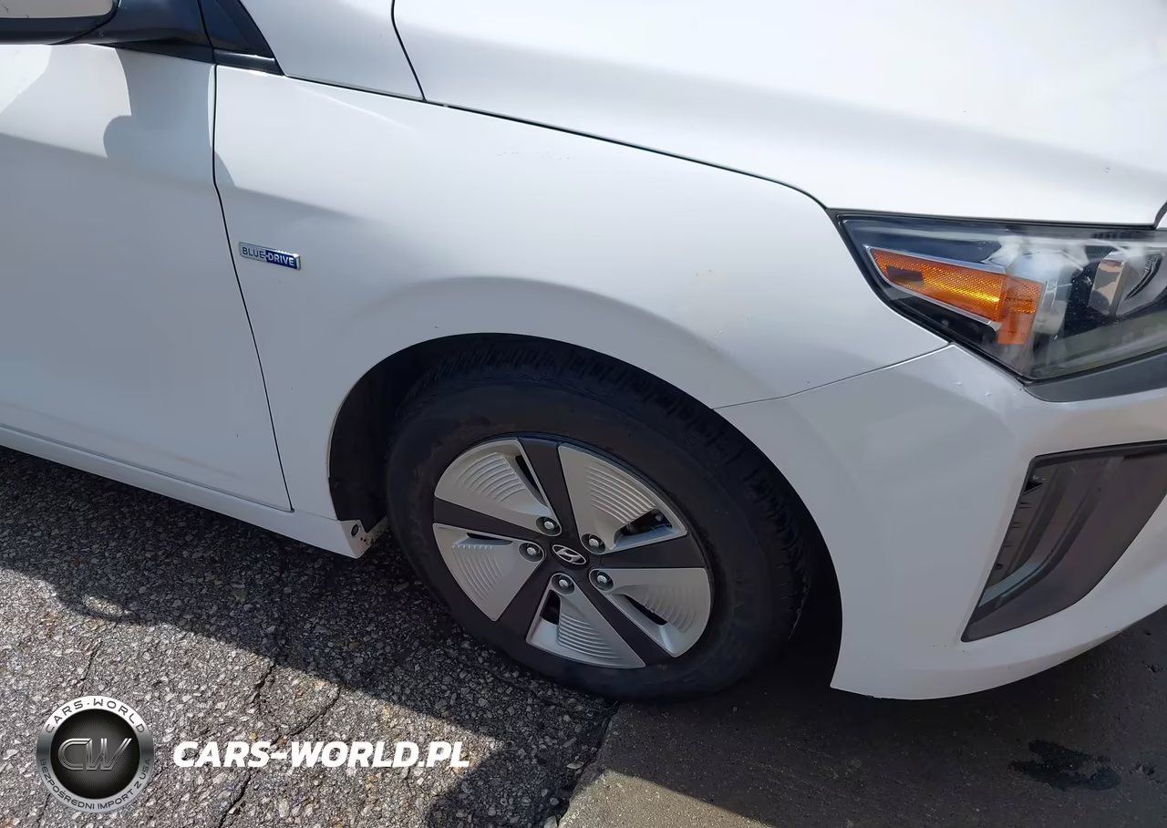 2020 Hyundai Ioniq Hybrid Blue VIN:KMHC65LC9LU233382 - 12