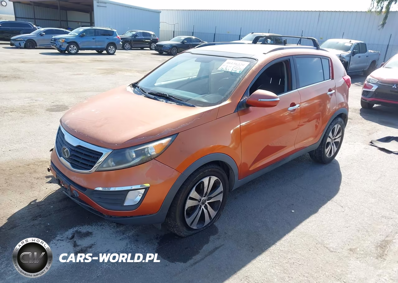 2013 Kia Sportage Ex VIN:KNDPC3A23D7442209 - 2