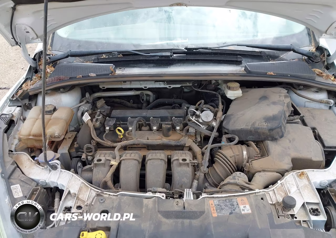 2017 Ford Focus Sel VIN:1FADP3H22HL244799 - 10