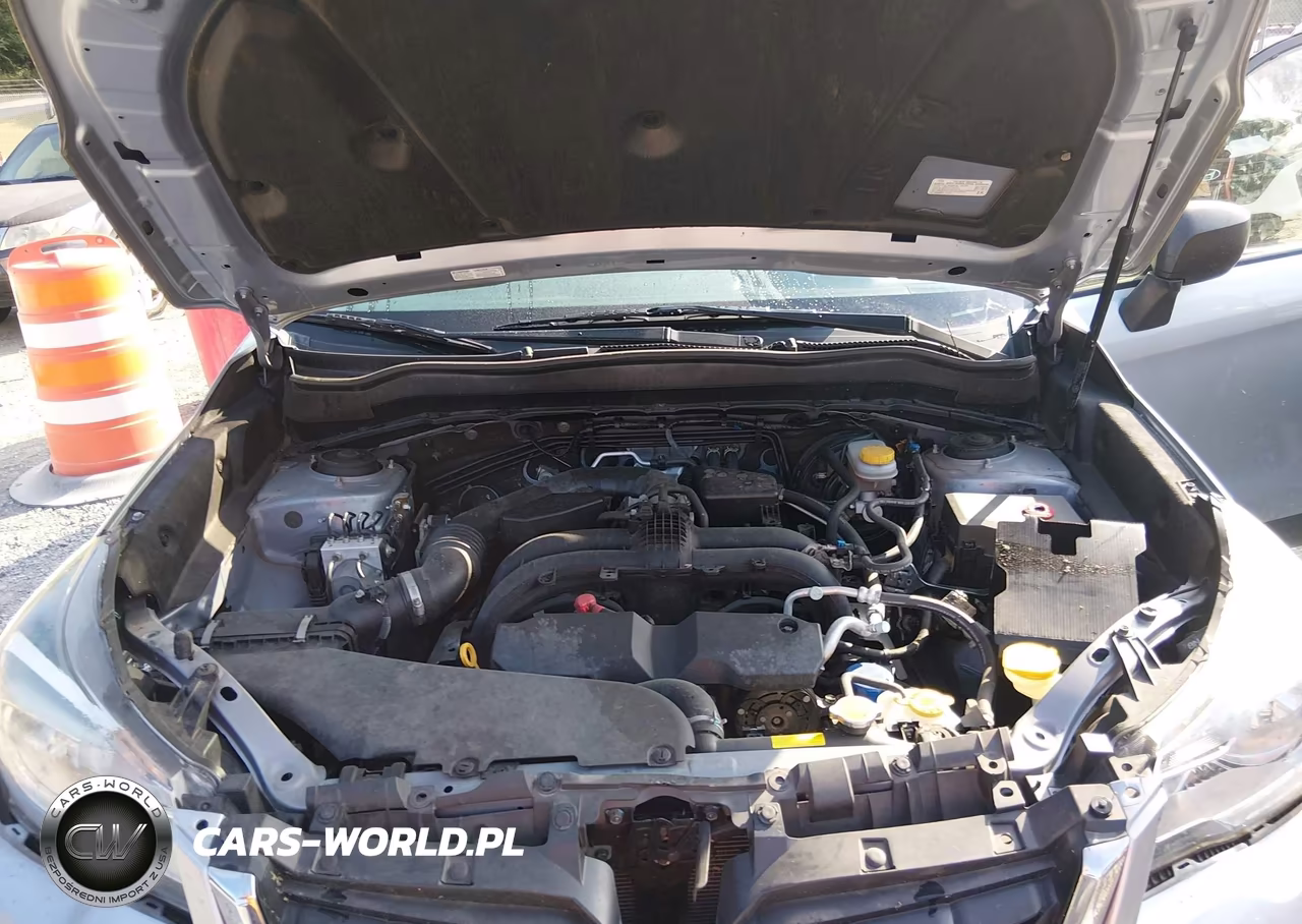 2017 Subaru Forester 2.5I VIN:JF2SJABC1HH482690 - 10
