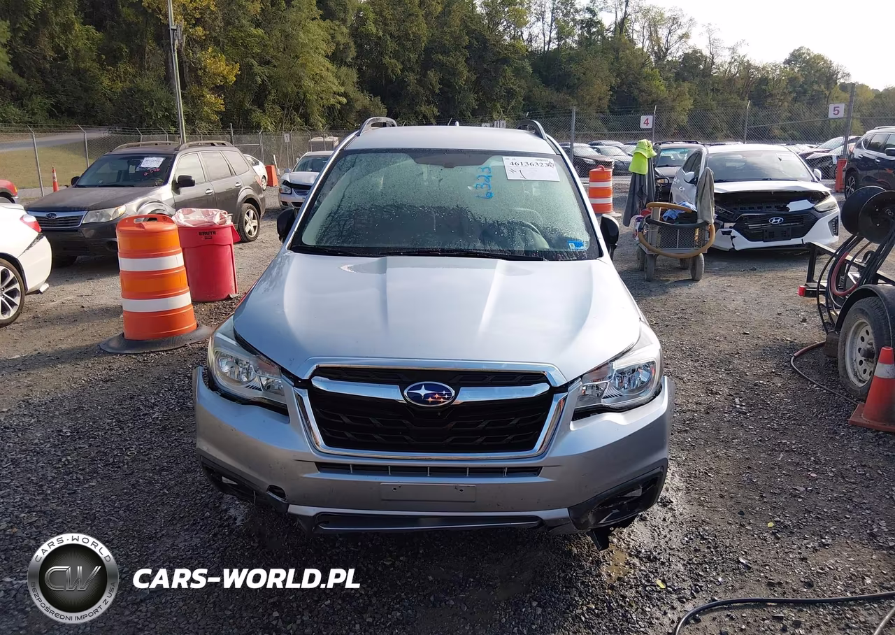 2017 Subaru Forester 2.5I VIN:JF2SJABC1HH482690 - 12