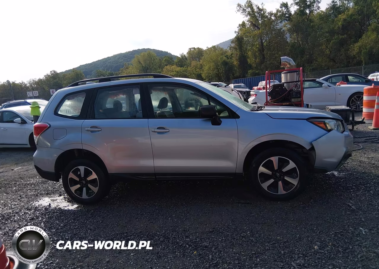 2017 Subaru Forester 2.5I VIN:JF2SJABC1HH482690 - 13