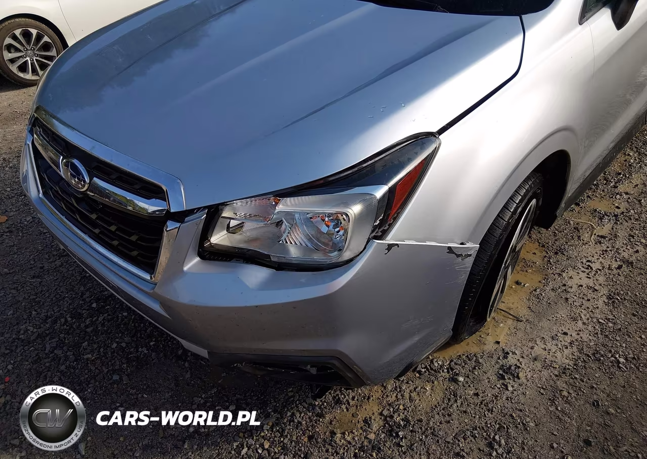 2017 Subaru Forester 2.5I VIN:JF2SJABC1HH482690 - 17
