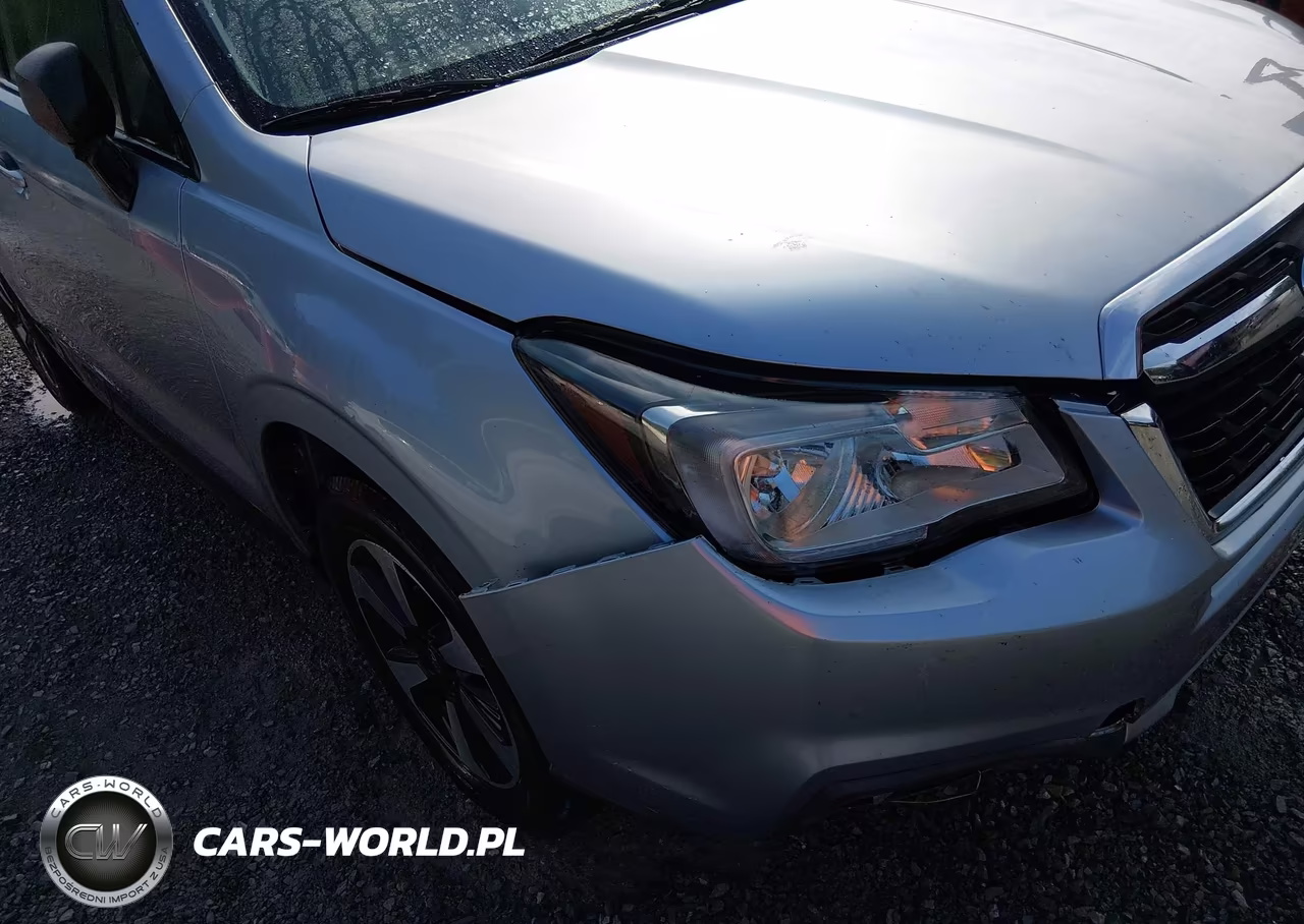 2017 Subaru Forester 2.5I VIN:JF2SJABC1HH482690 - 6