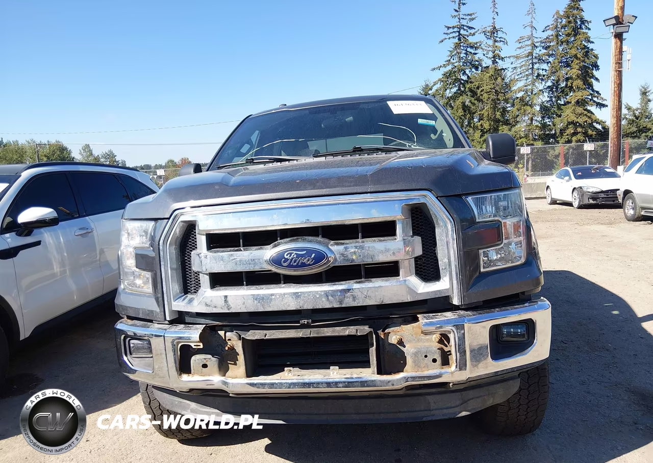 2015 Ford F-150 Xlt VIN:1FTEW1EG7FFA01569 - 12