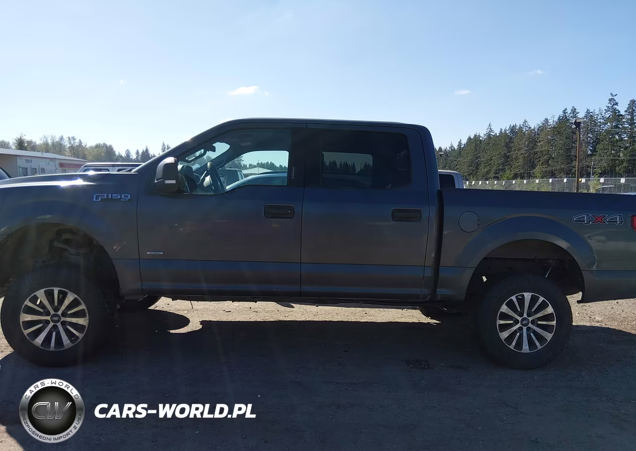 2015 Ford F-150 Xlt VIN:1FTEW1EG7FFA01569 - 14