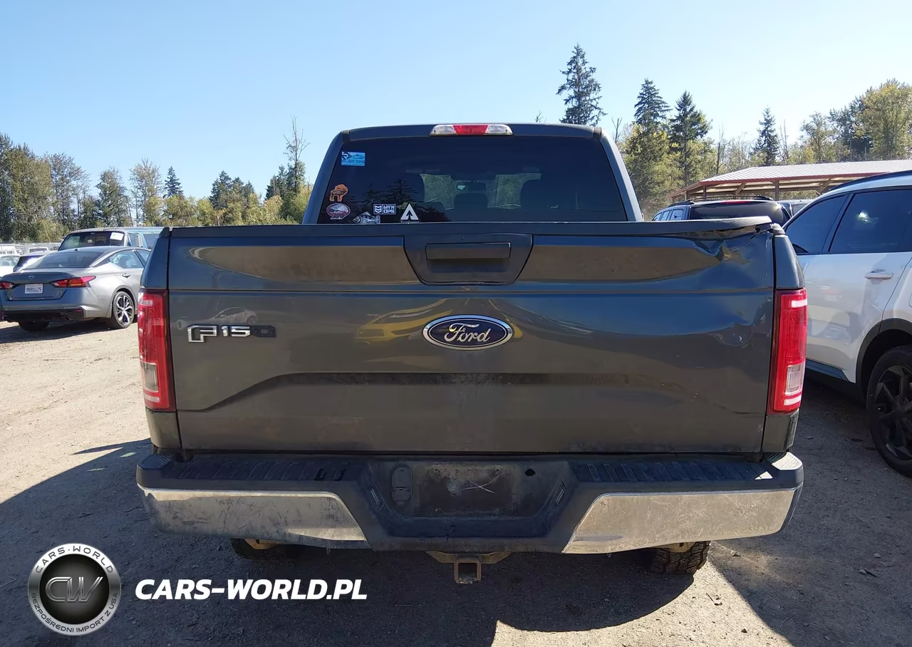 2015 Ford F-150 Xlt VIN:1FTEW1EG7FFA01569 - 16