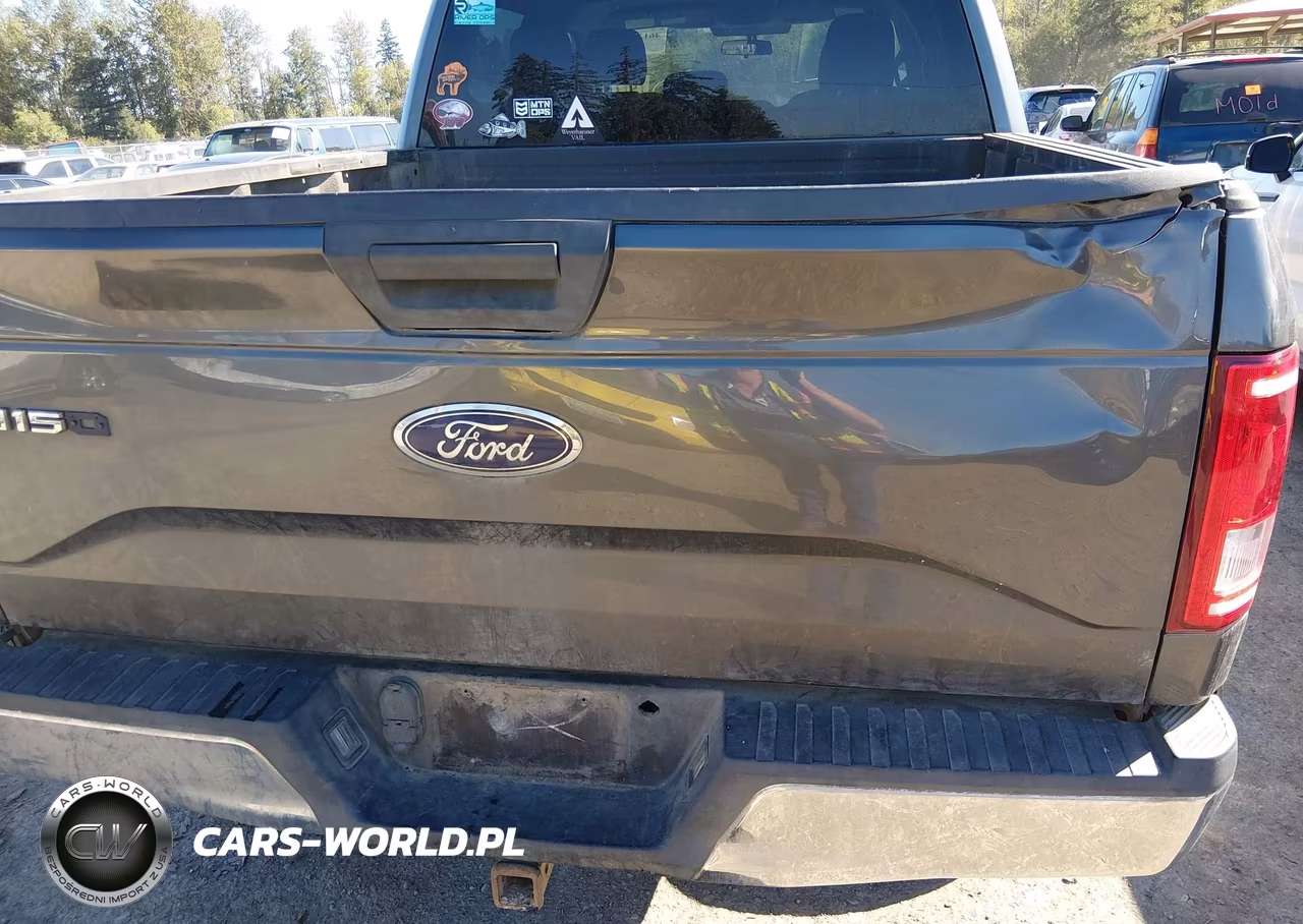 2015 Ford F-150 Xlt VIN:1FTEW1EG7FFA01569 - 19