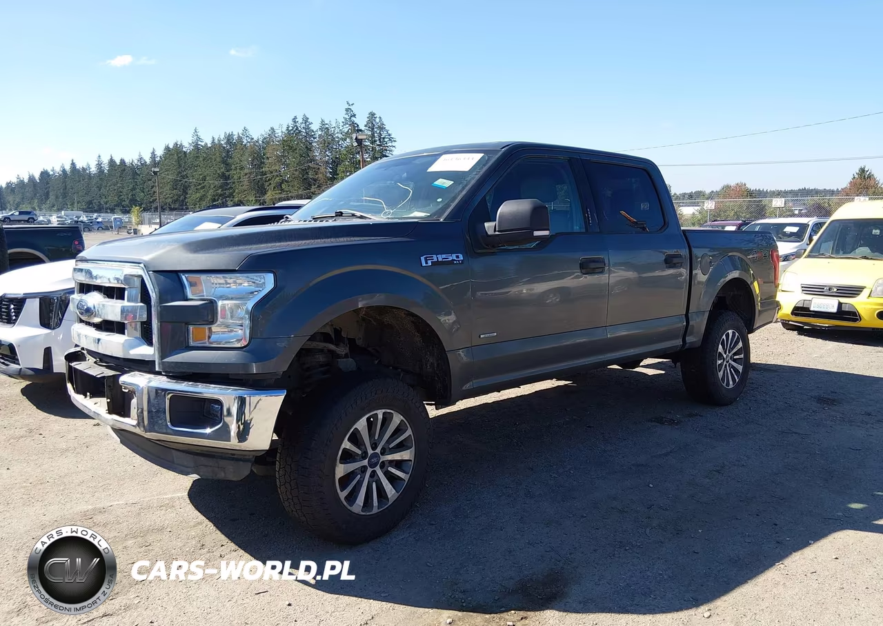 2015 Ford F-150 Xlt VIN:1FTEW1EG7FFA01569 - 2