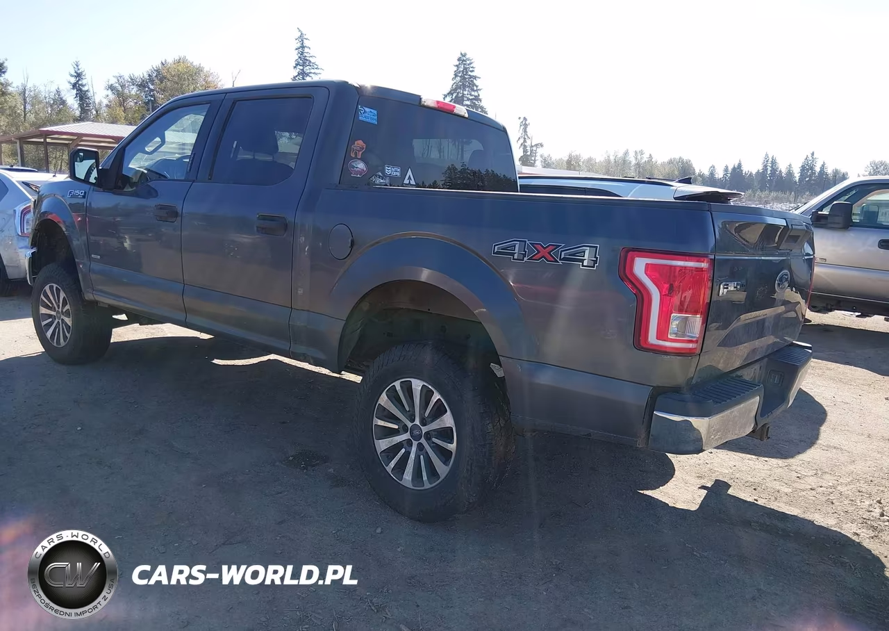 2015 Ford F-150 Xlt VIN:1FTEW1EG7FFA01569 - 3