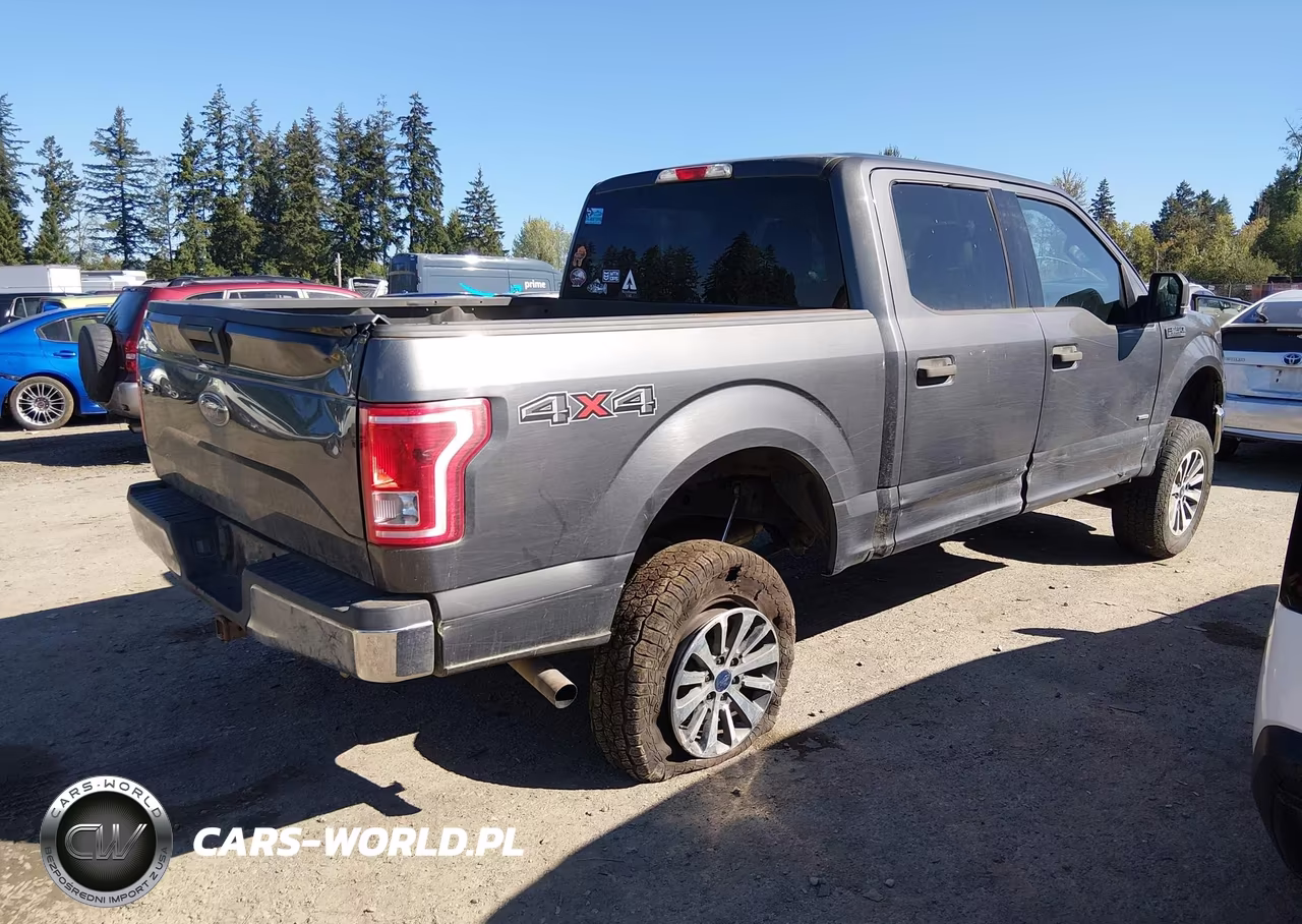 2015 Ford F-150 Xlt VIN:1FTEW1EG7FFA01569 - 4
