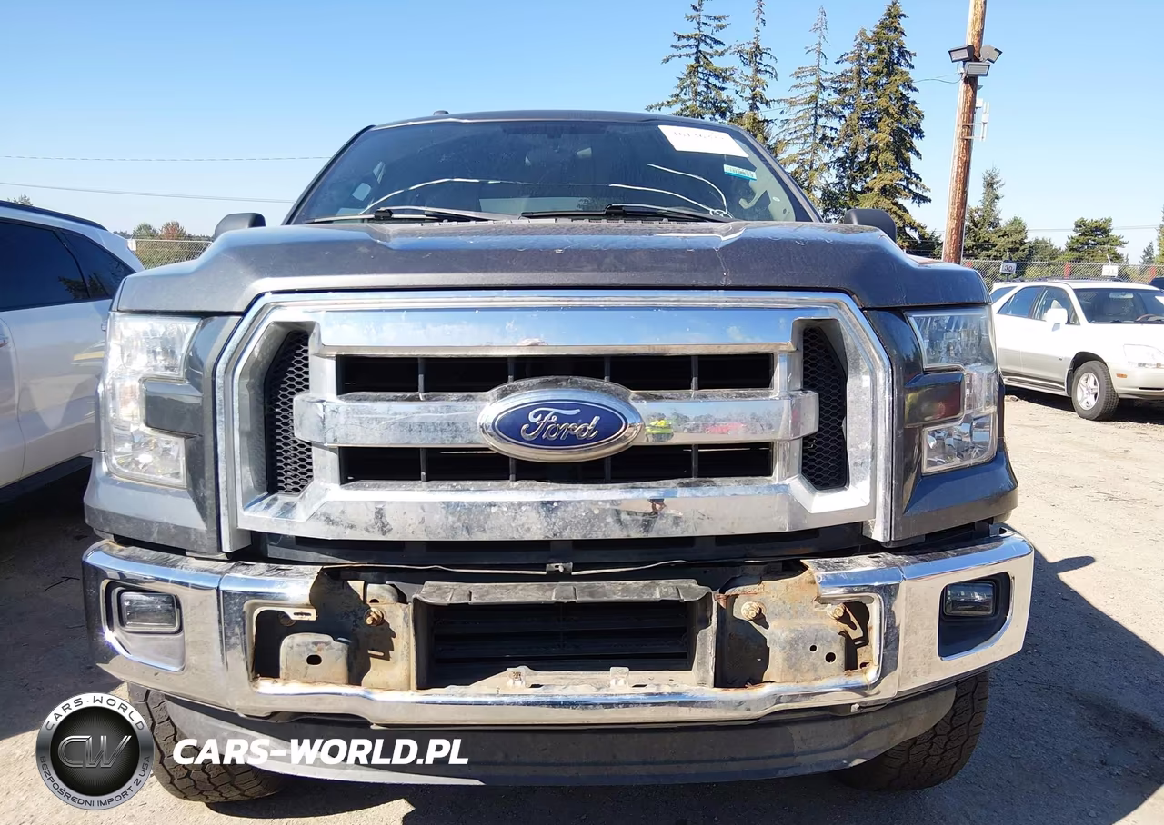 2015 Ford F-150 Xlt VIN:1FTEW1EG7FFA01569 - 6