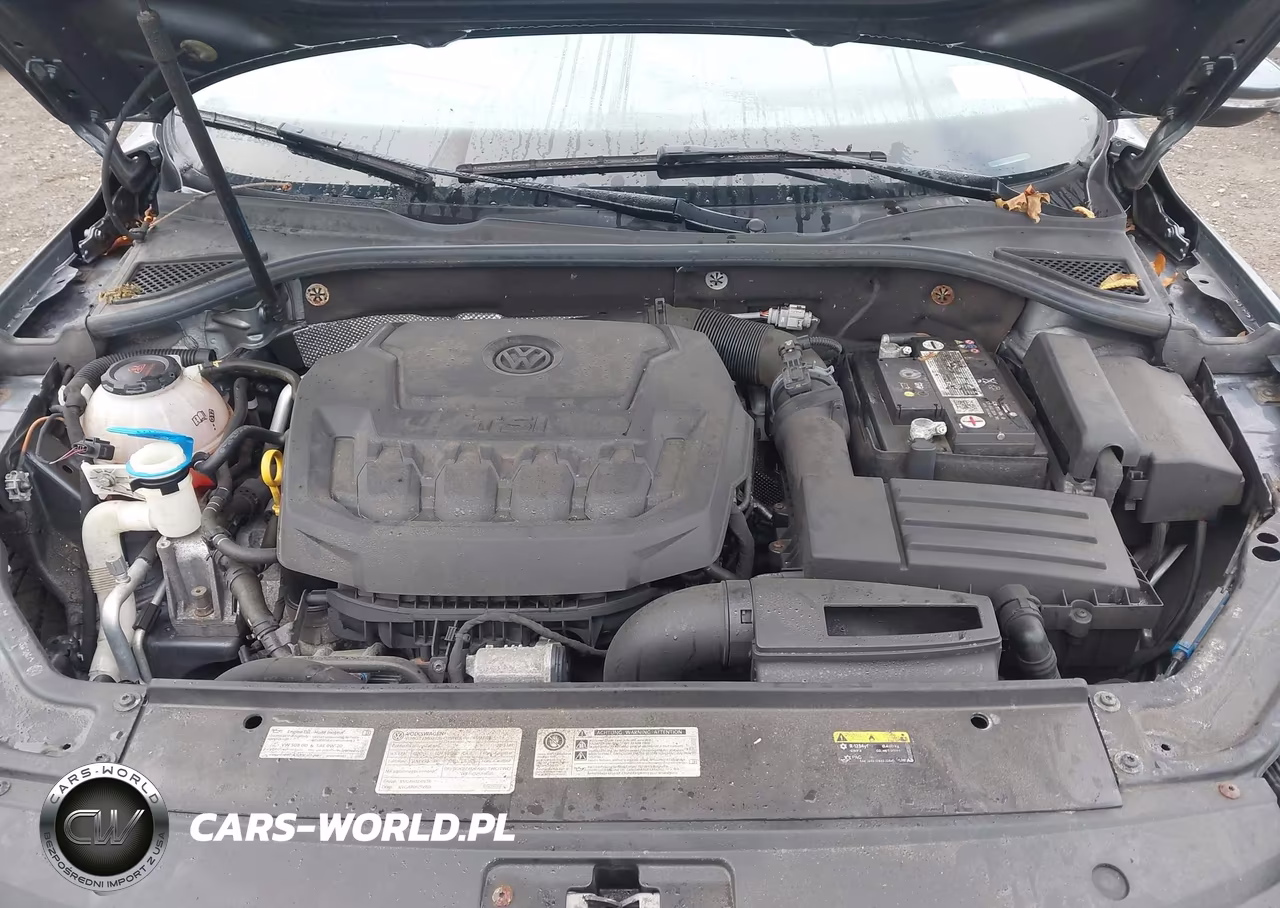 2019 Volkswagen Passat 2.0T Wolfsburg Edition VIN:1VWLA7A34KC003431 - 10