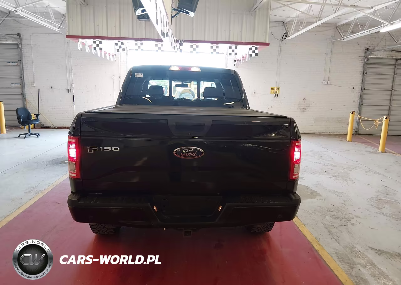 2015 Ford F-150 Xlt VIN:1FTEW1CP7FKE64631 - 16
