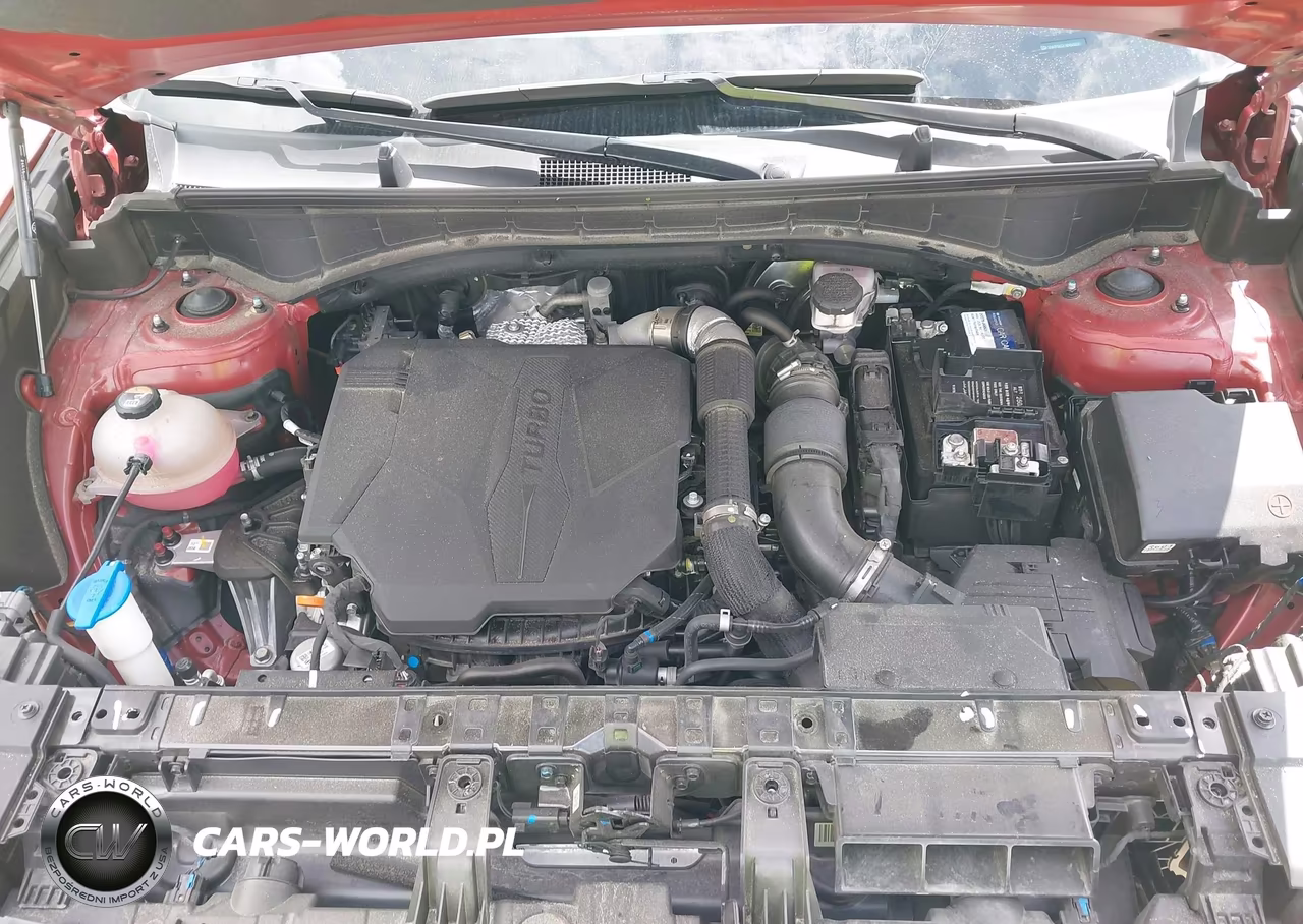2024 Hyundai Santa Fe Calligraphy VIN:5NMP54GL7RH065819 - 10