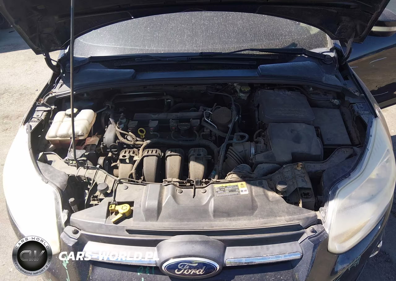 2013 Ford Focus Se VIN:1FADP3F29DL285122 - 10