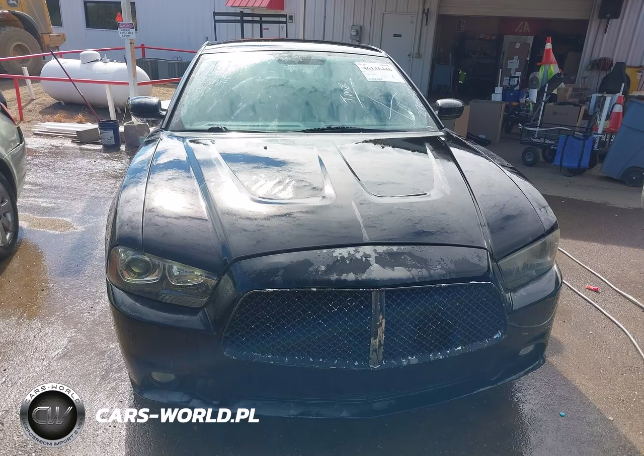 2014 Dodge Charger Road-Track VIN:2C3CDXCT7EH370031 - 12