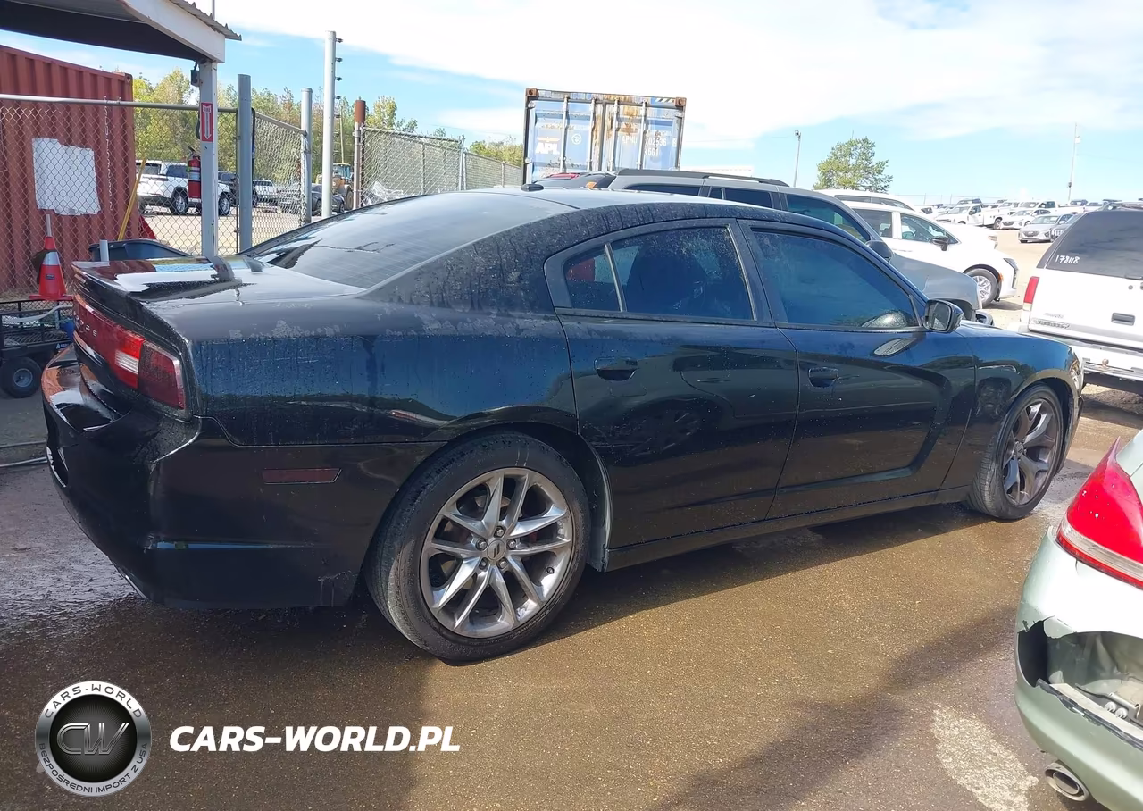 2014 Dodge Charger Road-Track VIN:2C3CDXCT7EH370031 - 13