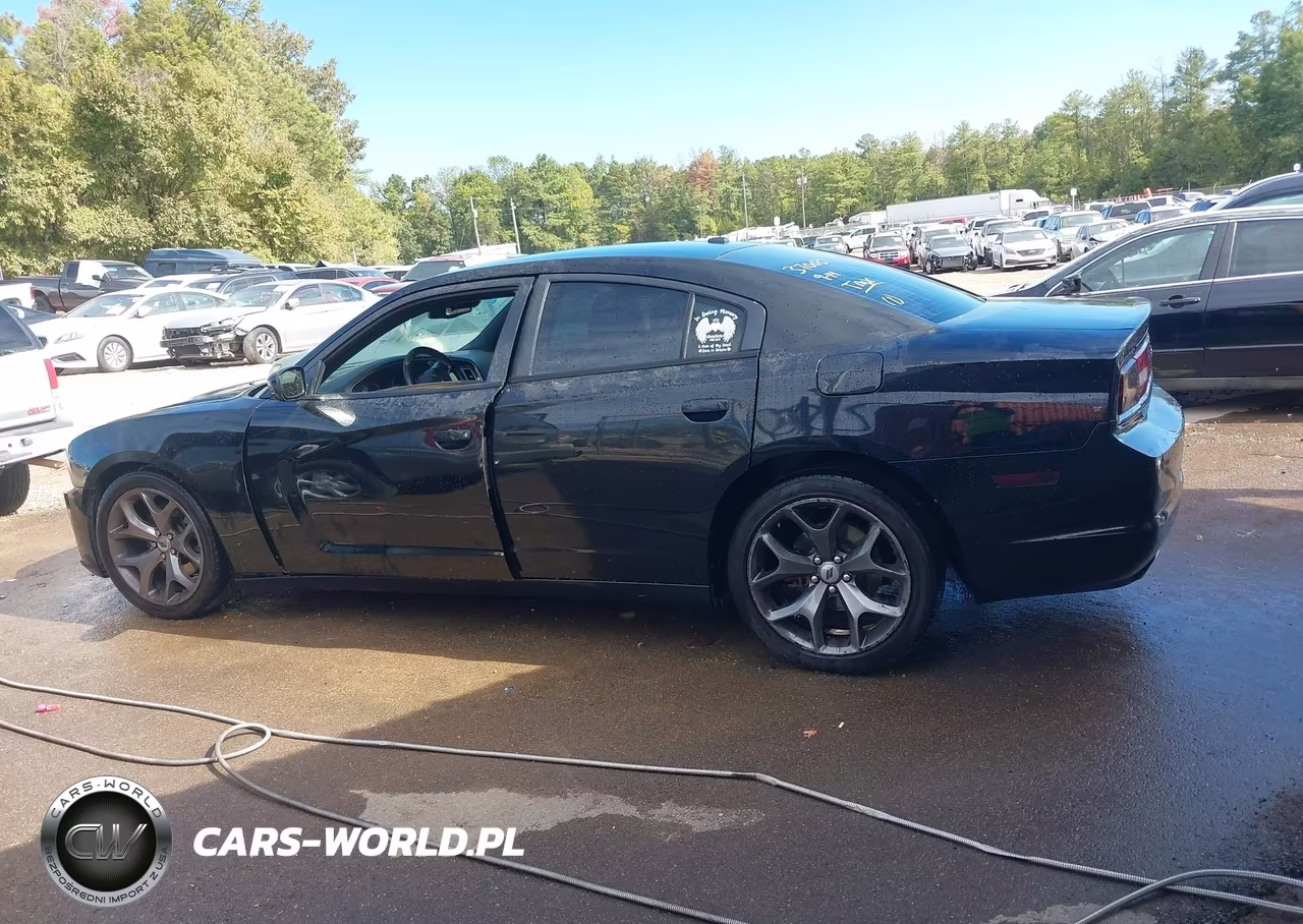 2014 Dodge Charger Road-Track VIN:2C3CDXCT7EH370031 - 14