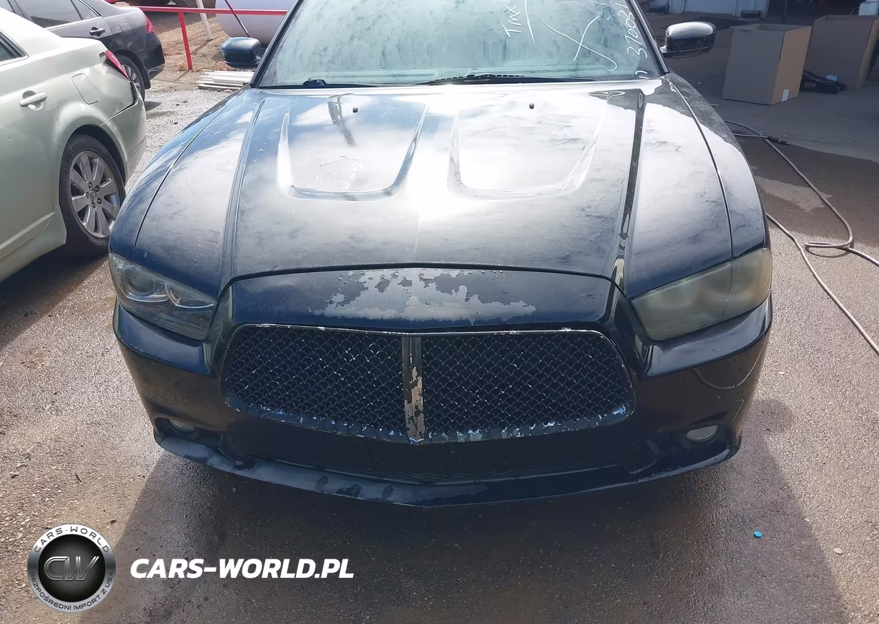 2014 Dodge Charger Road-Track VIN:2C3CDXCT7EH370031 - 17