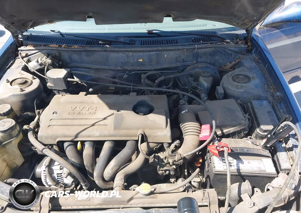 2002 Toyota Corolla Le VIN:1NXBR12E52Z607824 - 10