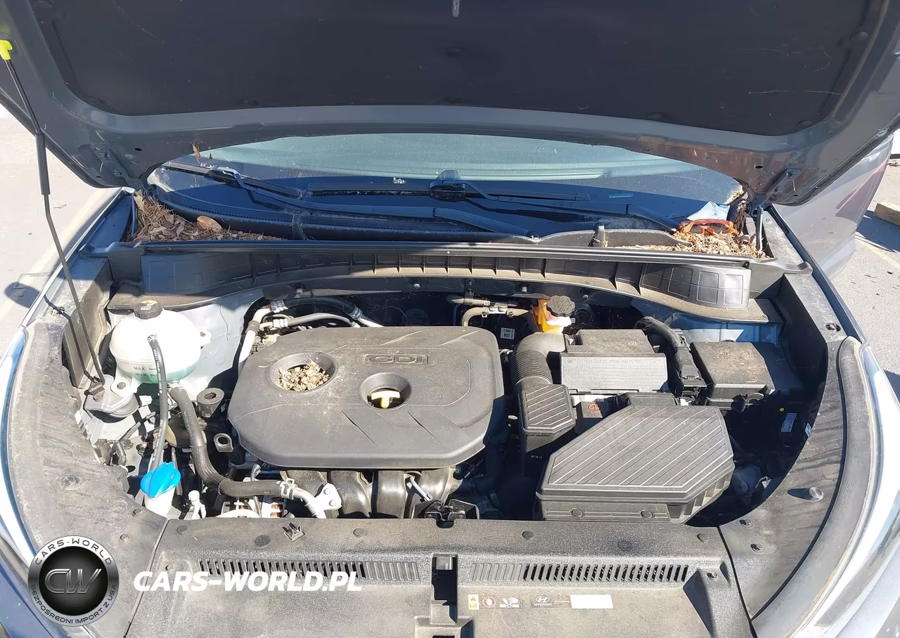 2017 Hyundai Tucson Se VIN:KM8J23A43HU548463 - 10