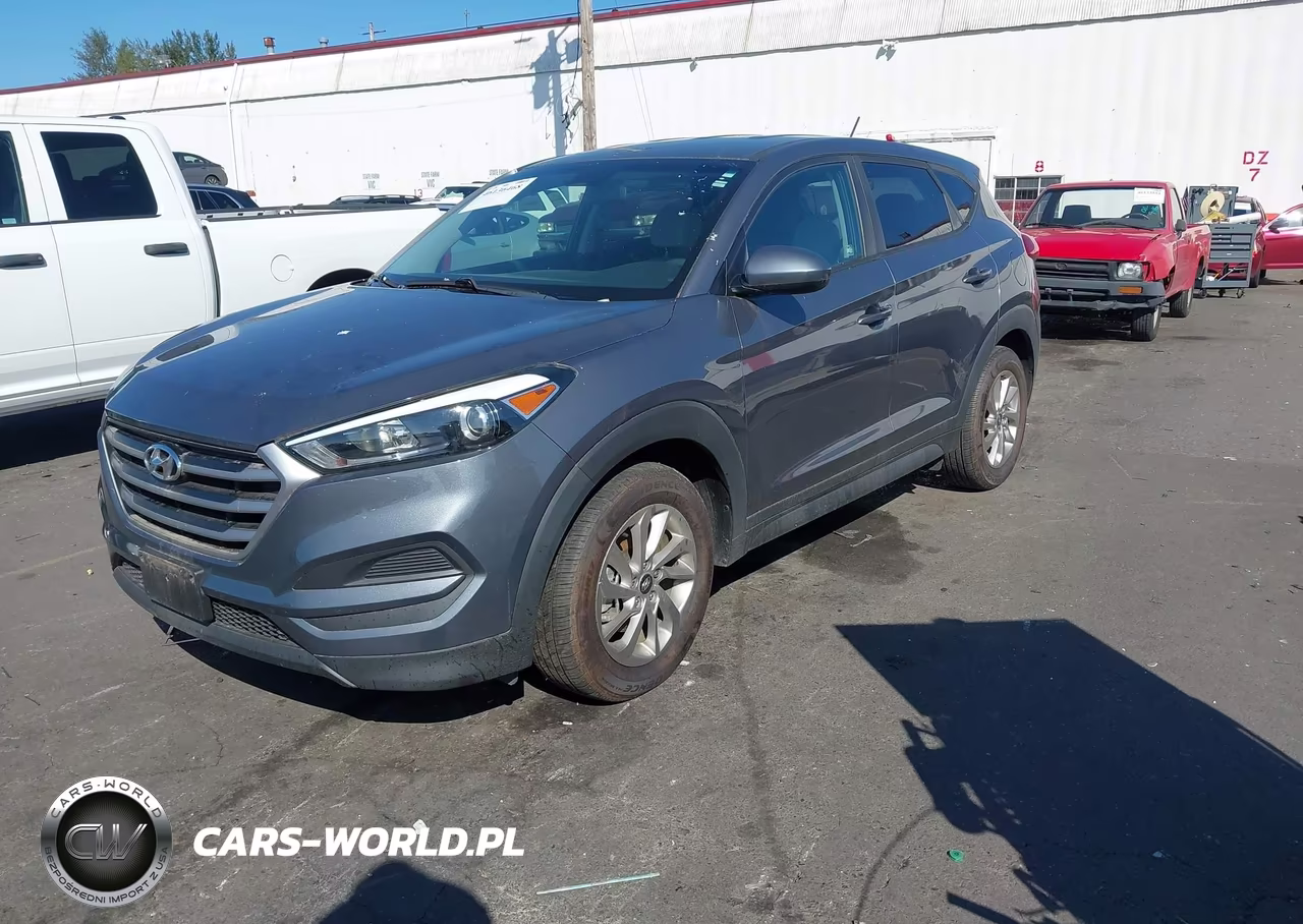 2017 Hyundai Tucson Se VIN:KM8J23A43HU548463 - 2