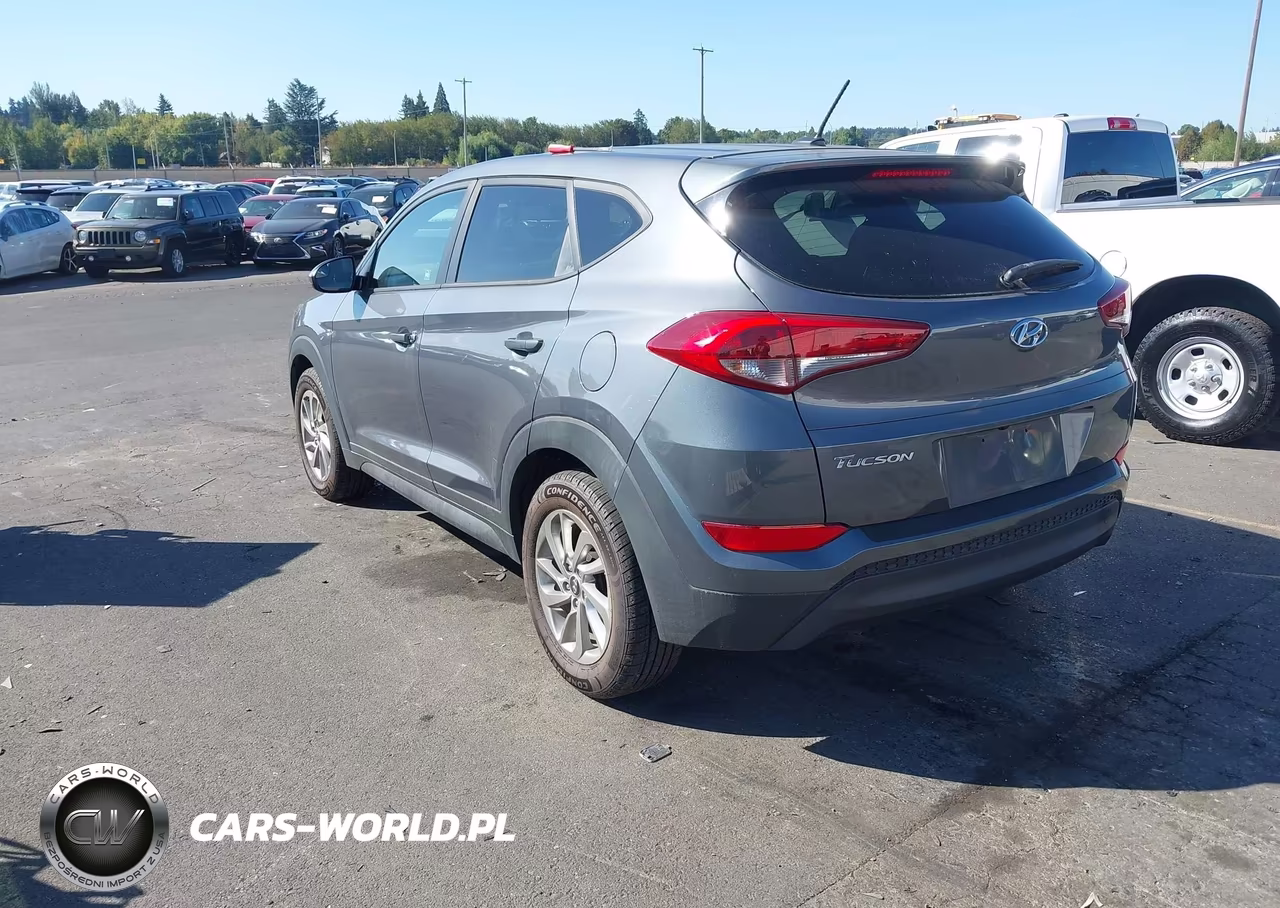2017 Hyundai Tucson Se VIN:KM8J23A43HU548463 - 3