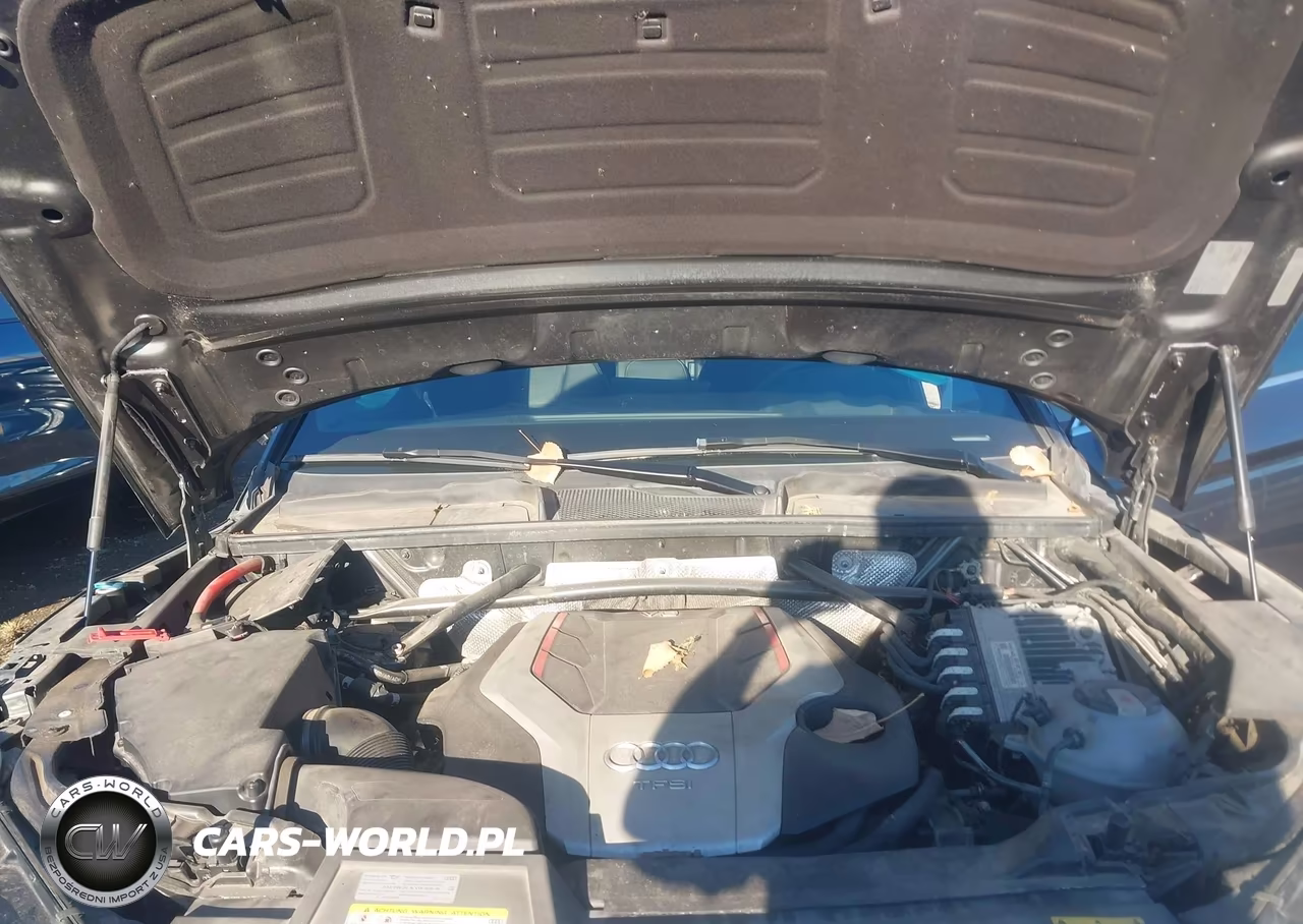 2019 Audi Sq5 3.0T Premium VIN:WA1C4AFY3K2056827 - 10