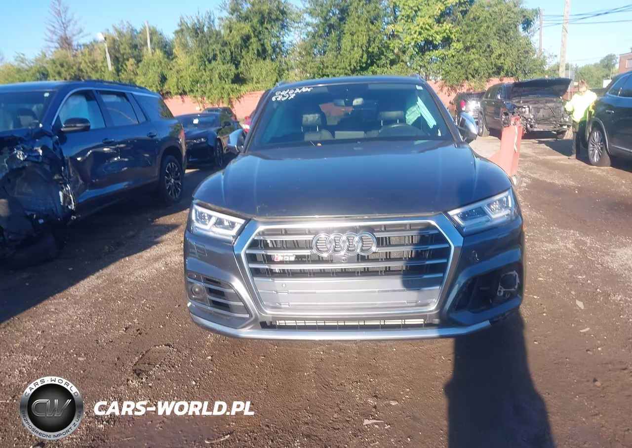 2019 Audi Sq5 3.0T Premium VIN:WA1C4AFY3K2056827 - 12
