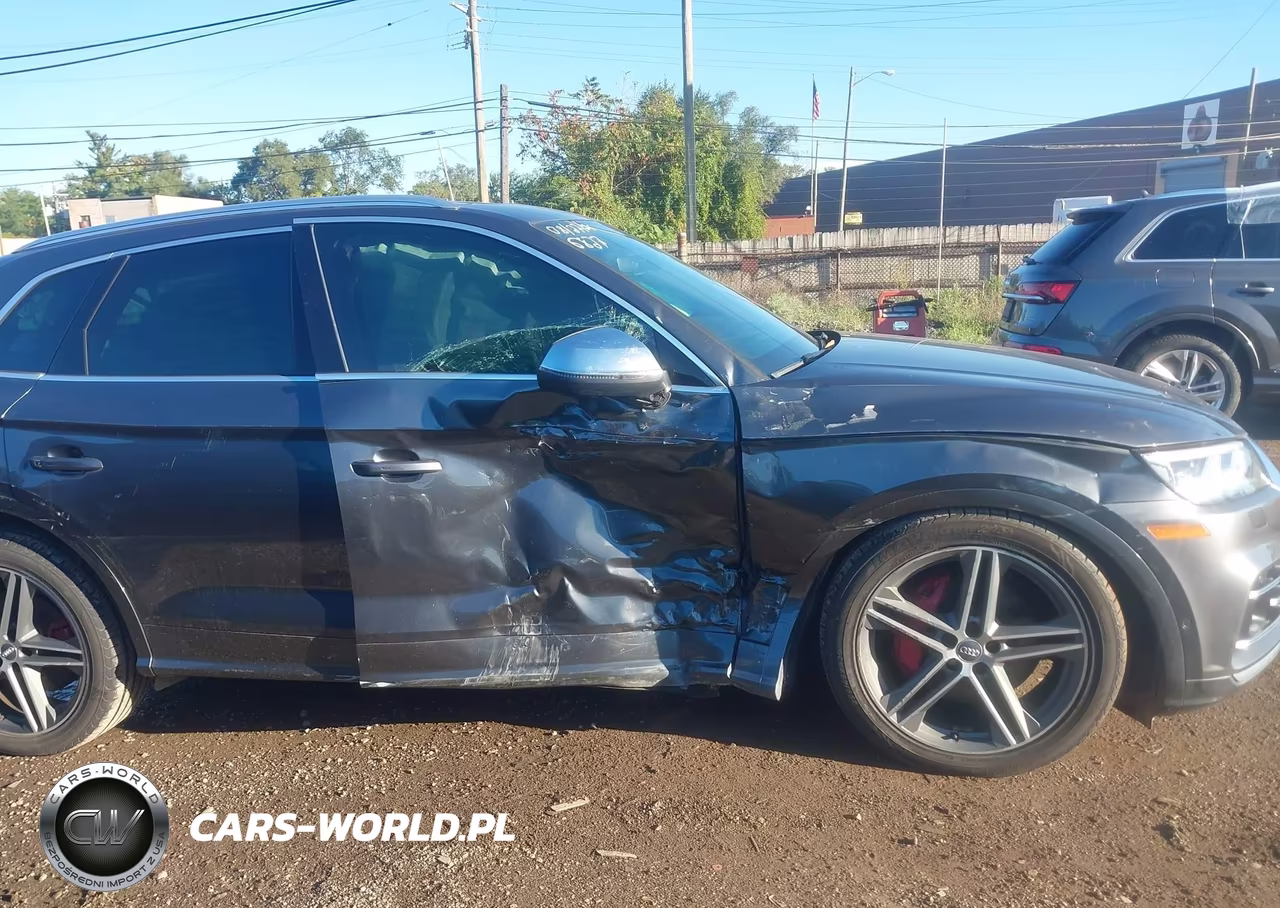 2019 Audi Sq5 3.0T Premium VIN:WA1C4AFY3K2056827 - 13