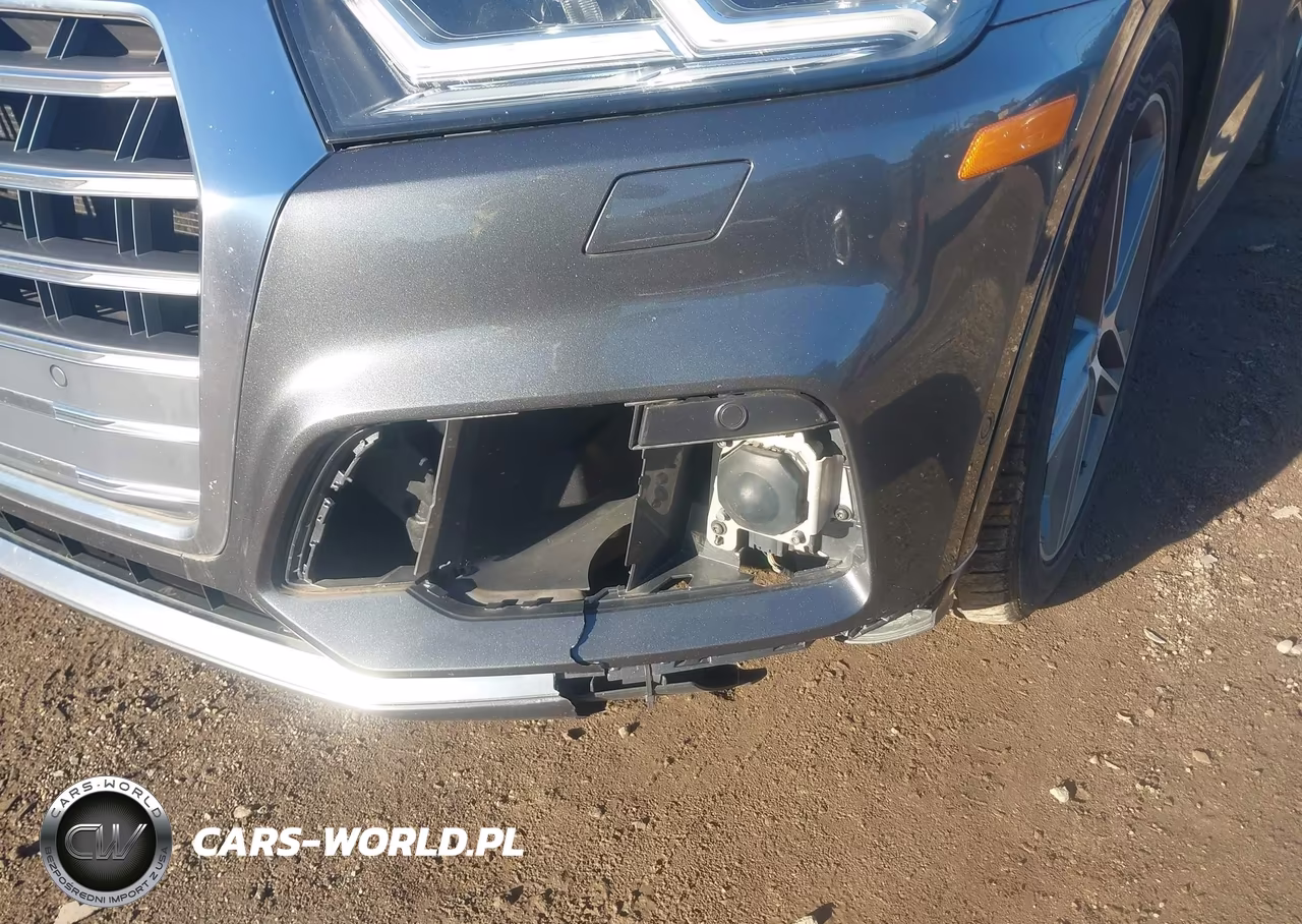 2019 Audi Sq5 3.0T Premium VIN:WA1C4AFY3K2056827 - 17
