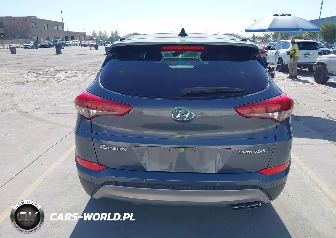 2017 Hyundai Tucson Limited VIN:KM8J33A23HU377208 - 15