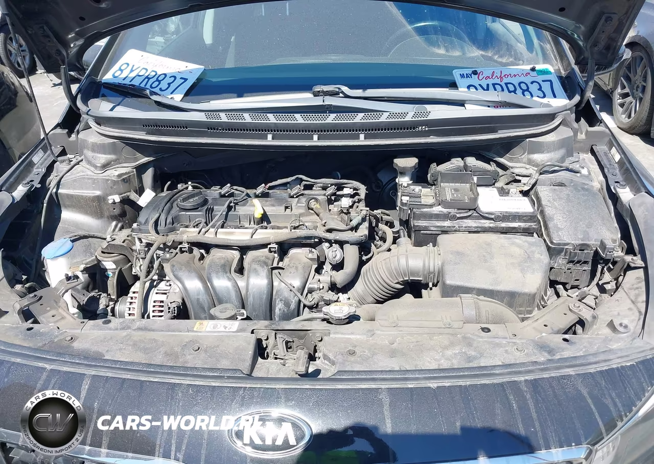 2017 Kia Forte S VIN:3KPFL4A78HE015076 - 10