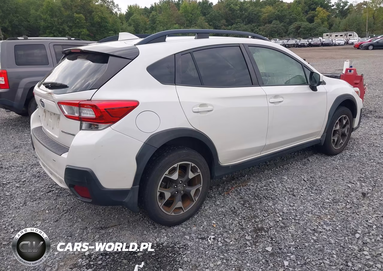 2019 Subaru Crosstrek 2.0I Premium VIN:JF2GTACC3K8384508 - 4