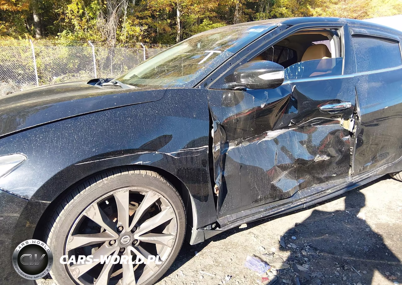 2016 Nissan Maxima 3.5 Sr VIN:1N4AA6AP6GC447091 - 6