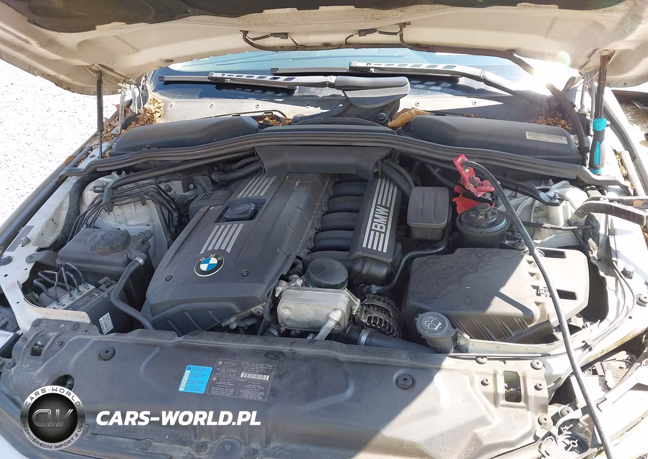 2009 BMW 5 Series 528I VIN:WBANU53559C121842 - 10