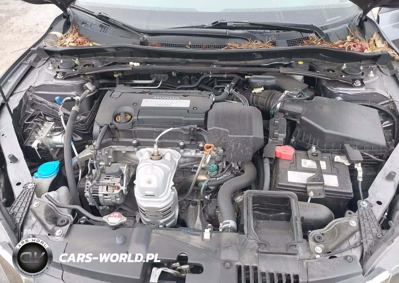 2013 Honda Accord Ex-L VIN:1HGCR2F83DA016349 - 10