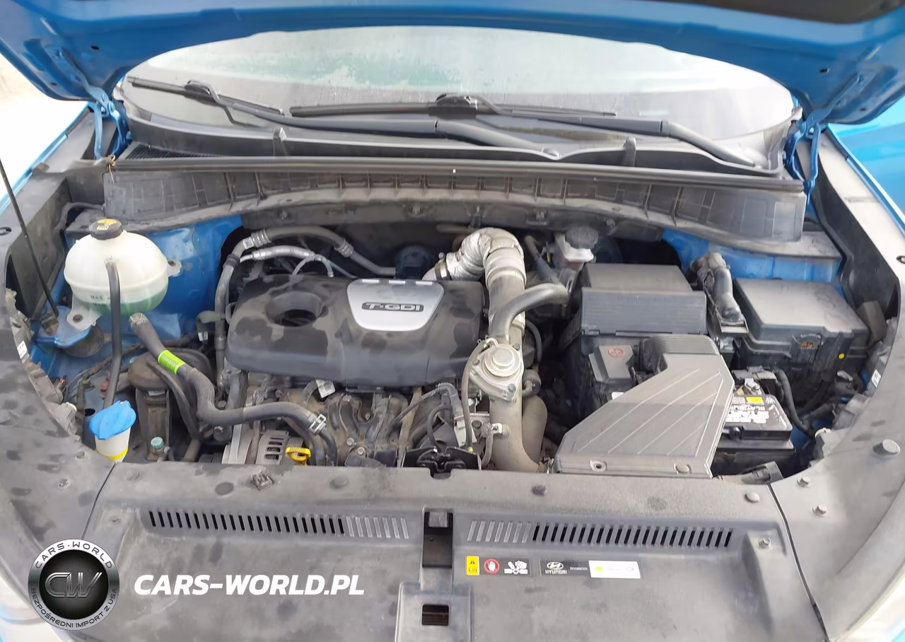 2018 Hyundai Tucson Value VIN:KM8J3CA28JU738969 - 10