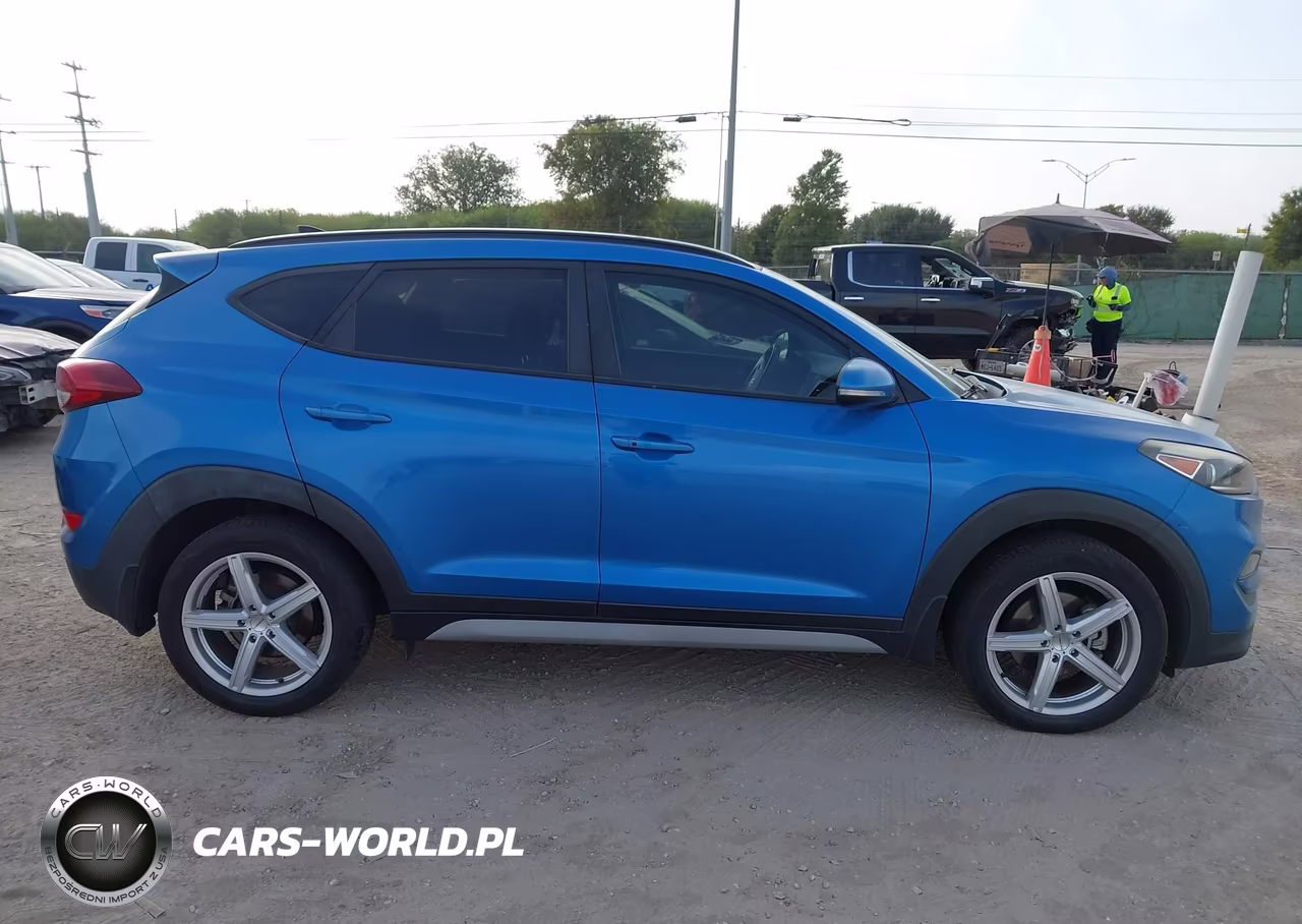 2018 Hyundai Tucson Value VIN:KM8J3CA28JU738969 - 13