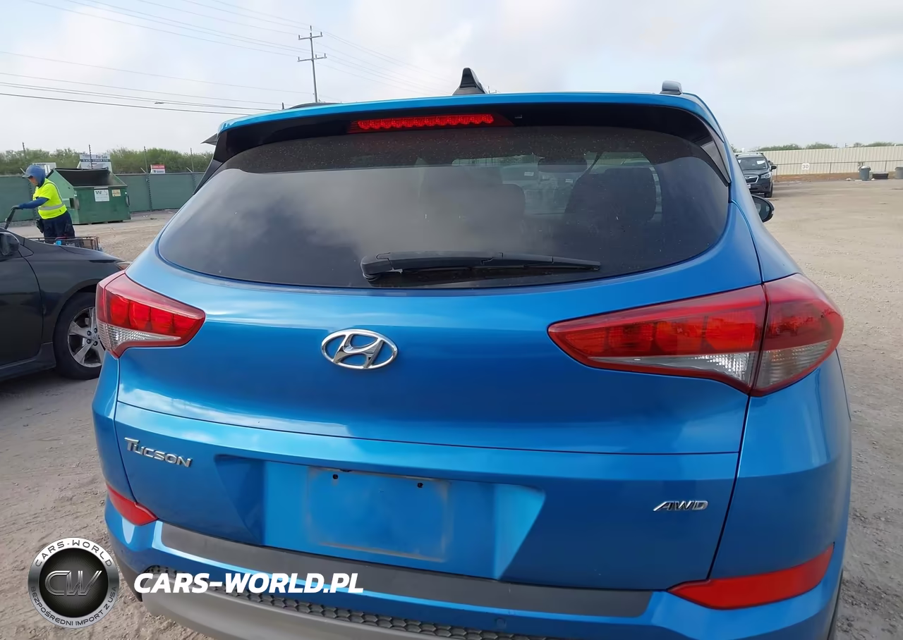 2018 Hyundai Tucson Value VIN:KM8J3CA28JU738969 - 16