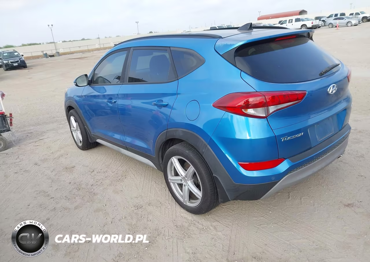 2018 Hyundai Tucson Value VIN:KM8J3CA28JU738969 - 3