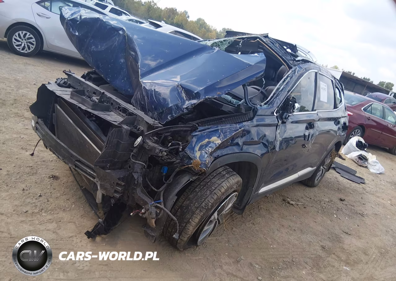 2020 Hyundai Santa Fe Sel VIN:5NMS33AD8LH303535 - 2