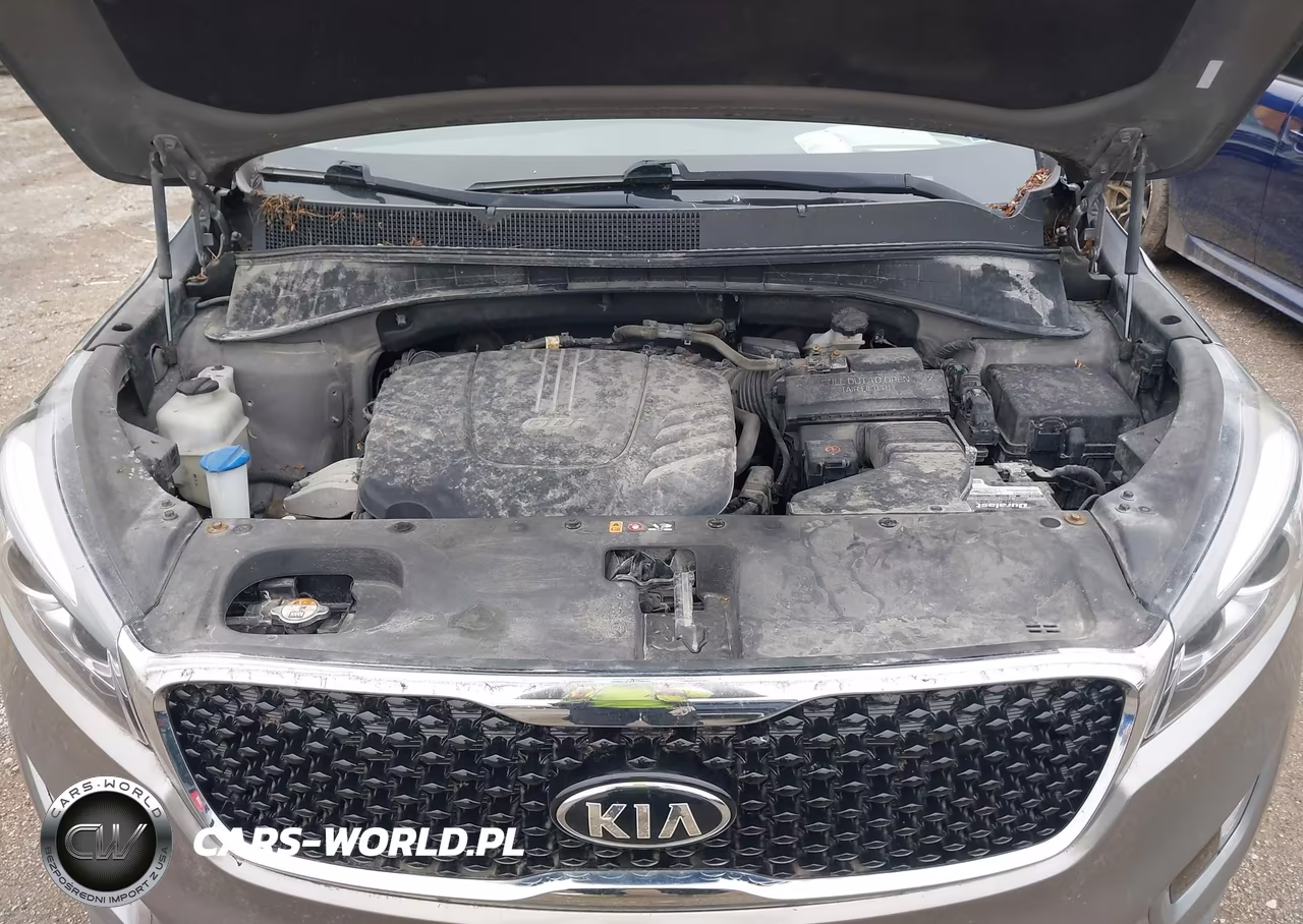 2016 Kia Sorento 3.3L Ex VIN:5XYPH4A50GG154267 - 10