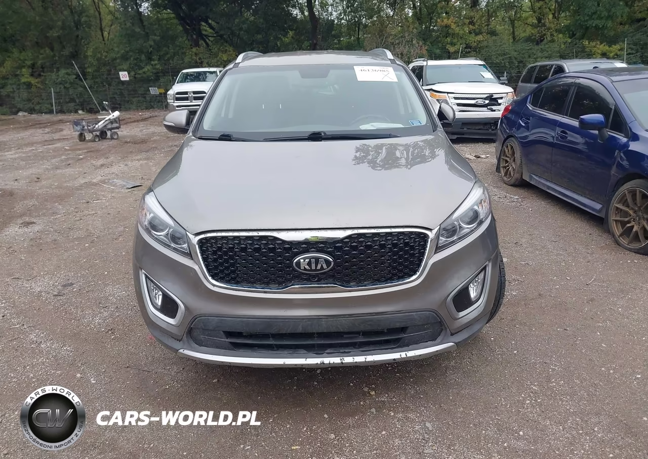 2016 Kia Sorento 3.3L Ex VIN:5XYPH4A50GG154267 - 12