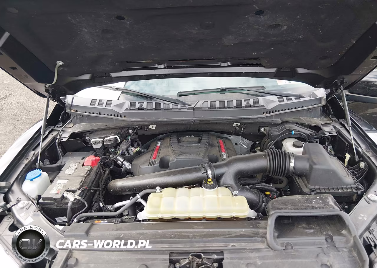 2020 Ford F-150 Raptor VIN:1FTFW1RG7LFB12469 - 10